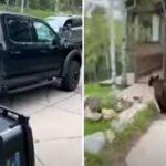 Gjermanët japin më së shumti bakshishe – kush janë më dorështrënguar?