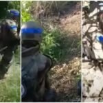 “Shijo Kosovën”, pullat e reja postare në shenjë falënderimi për bashkatdhetarët