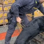 Ligji për Tatimin në Pronë në Kushtetuese, reagon Murati: Britmat këta nuk i kanë as për qytetarin e as për shtetin 