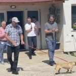 Ndërron jetë muzikanti i “Stars of the Lid”, Brian McBride