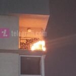 Kapet 1 kilogram kokainë në Tiranë, arrestohen tre të rinjtë