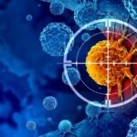 Albin Kurti sillet sikur i ka vendosur ai sanksione Perëndimit