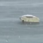 Pesë anët pozitive të konsumit të përditshëm të mjaltit