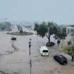 Harvardi zgjidhet shkolla më e keqe për “Lirinë e Fjalës” – merr zero pikë nga 100 të mundshmet