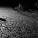 Sulmi terrorist në veri, deputetja britanike: Përkëdhelja e Vuçiqit po çon në dhunë, Mbretëria e Bashkuar ka më shumë përgjegjësi për të kontribuar në suksesin e Kosovës