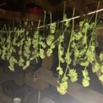 Ukraina bombardon tanket ruse në vijë të frontit