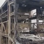 Gjendet marihuanë gjatë pastrimit të një shtëpize në Pejë