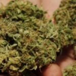 Bastisje në Vushtrri, zbulohet bixhoz i paligjshëm