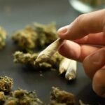 Kurti lëshon dorën: Rriten pensionet, nga 120 do të bëhet 150 euro duke filluar nga nesër