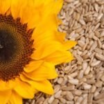 Behgjet Pacolli del nga Prokuroria e Tiranës: Aeroporti i Vlorës do të bëhet, do jetë më i bukuri