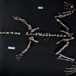 Largoni personat që veç ju kritikojnë e gjykojnë