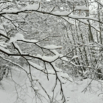 Lushaku-Sadriu i reagon Muratit: VV-ja votoi se nuk pat qare – ish anëtari i juaj kallxoi që jeni edhe hajna