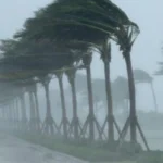 ’53 vite që të arrijë standardet e BE’ Tabaku: Refuzimi i minimumit jetik po varfëron Shqiptarët, fondet shkojnë për korrupsion