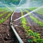 Miku i Michael Schumacher zbulon lajme të reja rreth gjendjes së tij shëndetësore&nbsp;