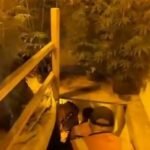 9 komuna të LDK-së në balotazh, Abdixhiku: Le të fitojmë