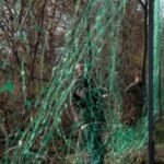 Lejuan ndërtime pa leje, Prokuroria Shkodër dërgon në gjyq punonjësin e policisë, kryeinspektorin dhe dy inspektorët e IMT-së