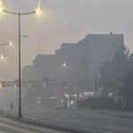 Dua Lipa sygjeron librat perfekte për dhuratat e Krishtlindjeve: Helen Garner, Patti Smith dhe Margaret Atwood