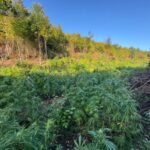 Teknika kur nuk ju zë gjumi