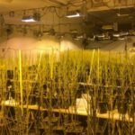 Alarm për prindërit: Telefoni para moshës 12 rrit rreziqet për shëndetin e fëmijëve